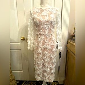 Xscape Lace Soutache Dress